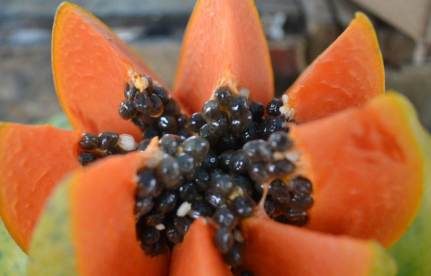 Papaya Papita Benefits Calories Nutrition facts Uses and