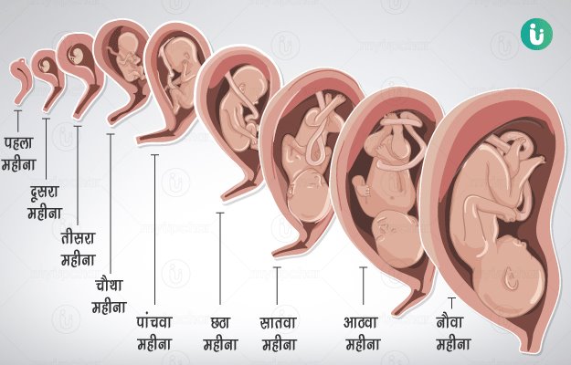 गर्भावस्था के महीने - Pregnancy month by month in Hindi