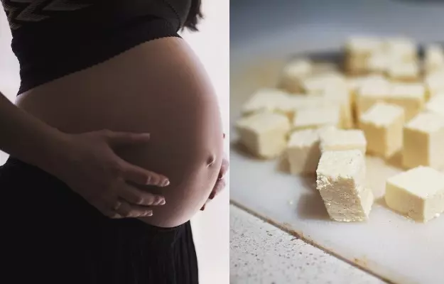 गर्भावस्था में पनीर खाना चाहिए या नहीं - Is it safe to eat paneer during pregnancy in Hindi