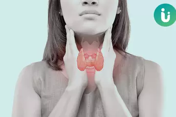 Causes of Thyroid Imbalance in Women and Steps for Treatment