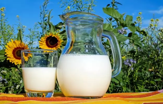 Toned milk benefits and side effects