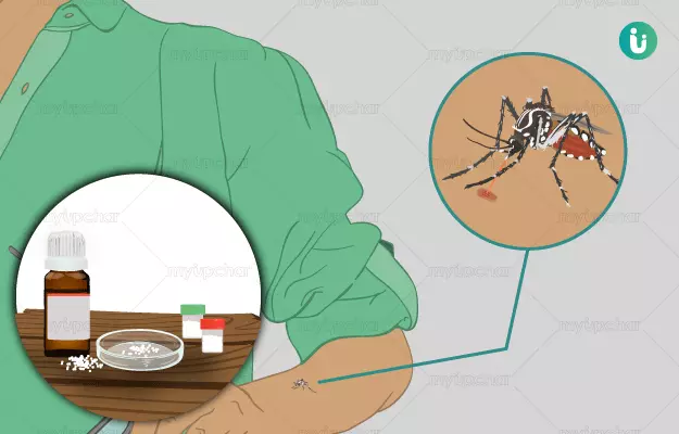 Homeopathic medicine, treatment and remedies for Malaria