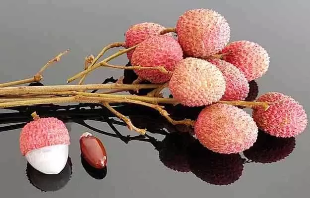 लीची के फायदे और नुकसान - Lychee Benefits and Side Effects in Hindi