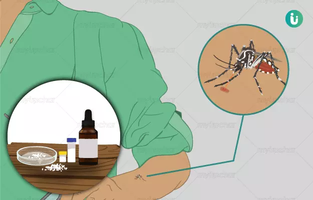 Homeopathic medicine, treatment and remedies for Dengue