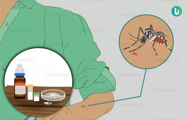 Homeopathic medicine, treatment and remedies for Chikungunya