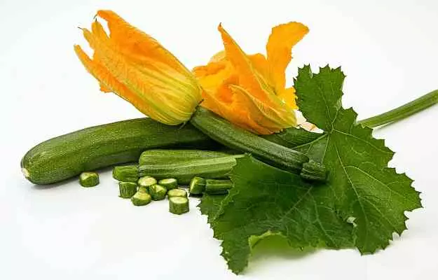 तोरई के फायदे - Zucchini (Tori) Benefits in Hindi