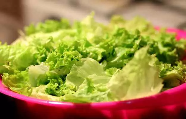 सलाद पत्ते के फायदे और नुकसान - Lettuce (Salad Patta) Benefits And Side Effects in Hindi