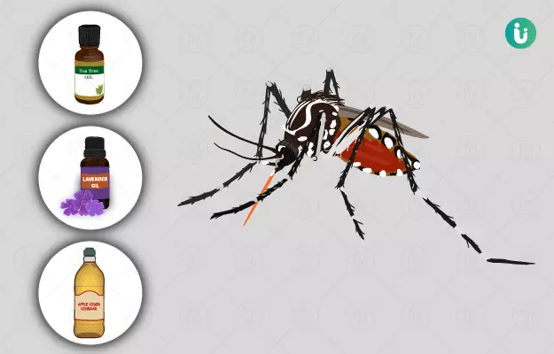 मच्छरों से छुटकारा पाने के प्राकृतिक उपाय और तरीके