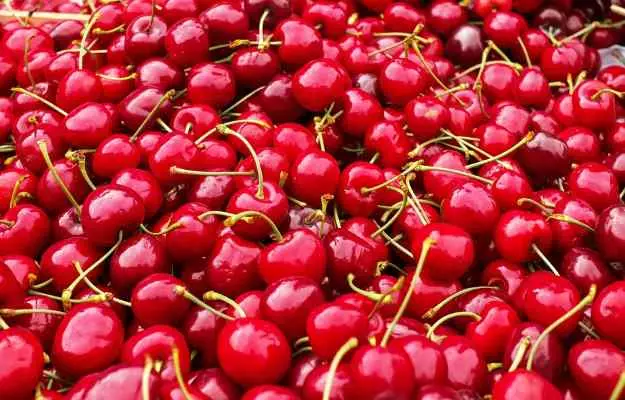 Cherry benefits and side effects