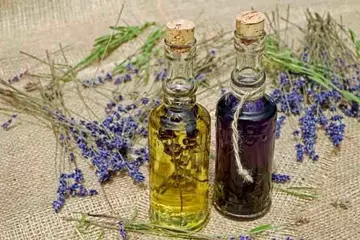 Benefits of Lavender Oil : Guide to Its Healing Properties