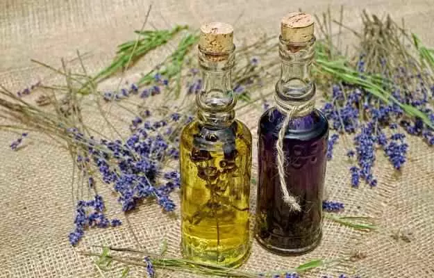 लैवेंडर के तेल के फायदे और नुकसान - Lavender Oil Benefits and Side Effects in Hindi