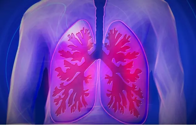 Lung Cancer Awareness Month: अगर दिल है स्वस्थ तो फेफड़े रहेंगे मस्त