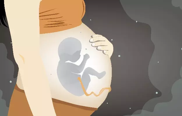गर्भवती महिलाओं और उनके बच्चे के लिए खतरनाक है वायु प्रदूषण
