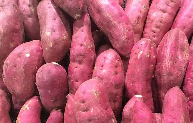 शकरकंद के फायदे और नुकसान - Sweet Potato (Shakarkandi) Benefits And Side Effects in HIndi