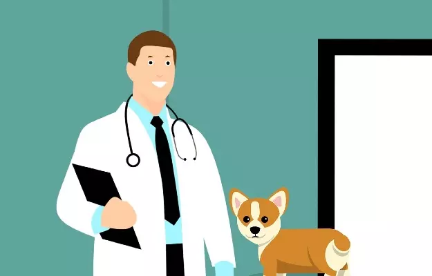 Kennel Cough in Dogs