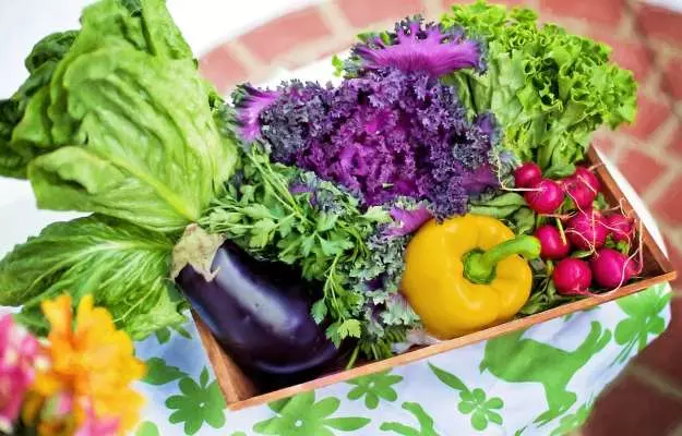 इन गर्मियों की सब्जियों का सेवन बचाएगा शरीर को हीट स्ट्रोक से