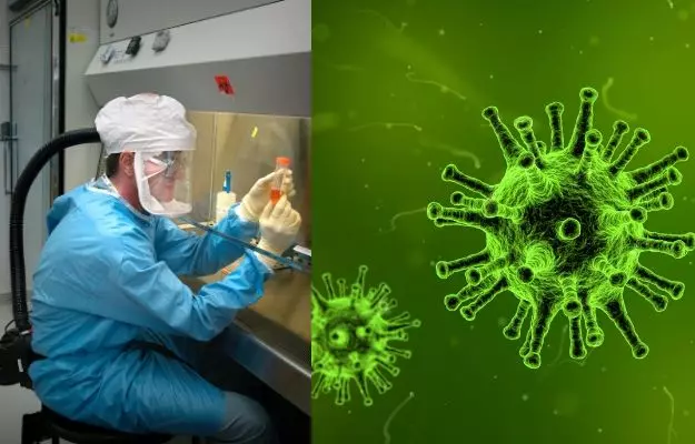भारत में मिला एच9एन2 वायरस का पहला मामला, जानें कितना घातक है यह