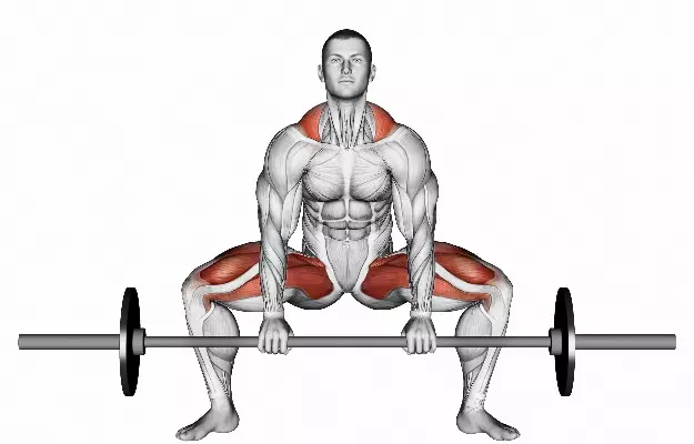 Barbell Sumo Squat by John M. - Exercise How-to - Skimble