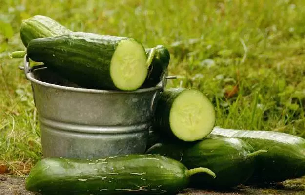 खीरे के फायदे और नुकसान - Cucumber Benefits and Side effects in Hindi