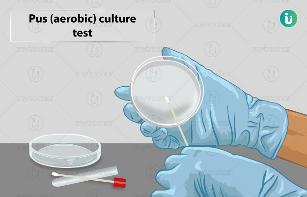 How to culture bacteria