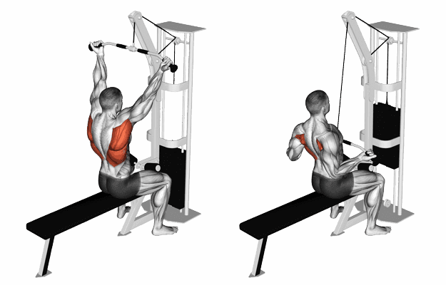Lat Pulldown: Benefits, types and the correct way to do it