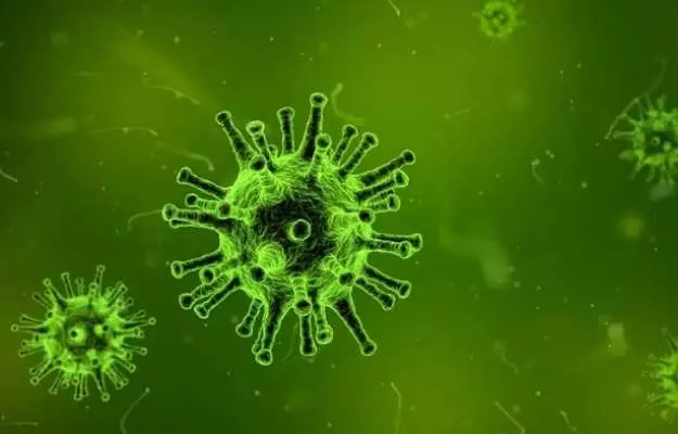 भारत में कोरोना वायरस के दो नए मामलों की पुष्टि, क्या शोधकर्ताओं की भविष्यवाणी हो रही सच?