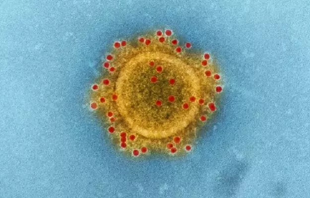 दिल्ली-हैदराबाद के बाद अब जयपुर में कोरोना वायरस की पुष्टि, जानें भारत में सीओवीआईडी-19 से जुड़ी सभी अहम खबरें