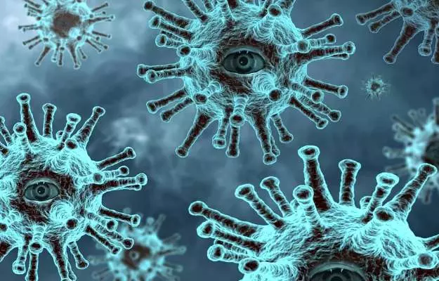 वैज्ञानिकों ने बताया, अलग-अलग स्थिति और सतहों पर कितनी देर तक रह सकता है नया कोरोना वायरस